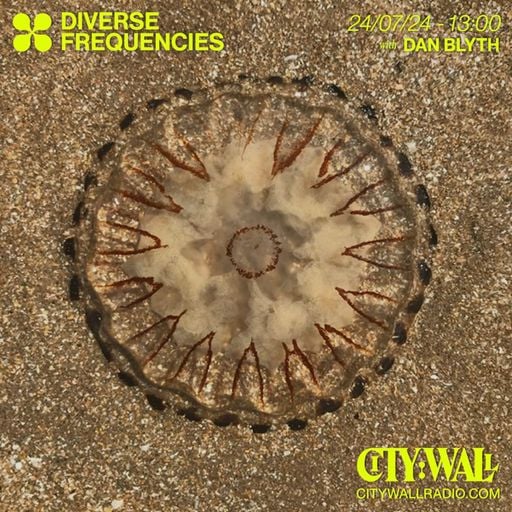 Diverse Frequencies w/ Dan Blyth - August 2024
