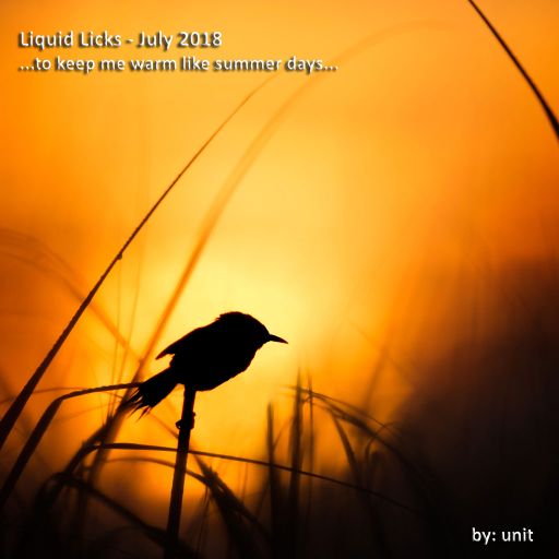 Liquid Licks July 2018