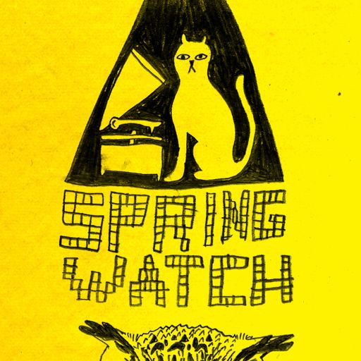 SpringWatch mix