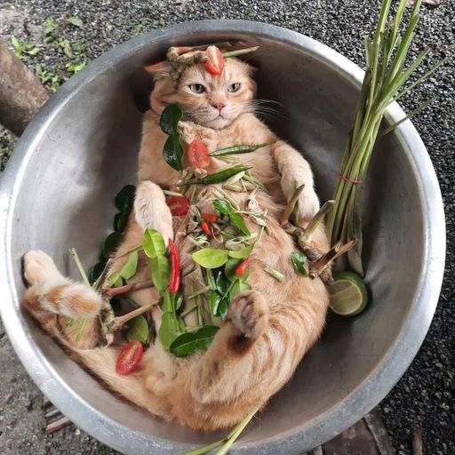 สมหวังไม่ใช่แค่ชื่อ แต่มีจริง @Nakrin99