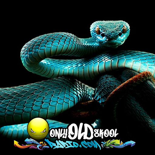 Lewis Viper - OnlyOldSkoolRadio.com - Techno Tuesday - 14th July 2020