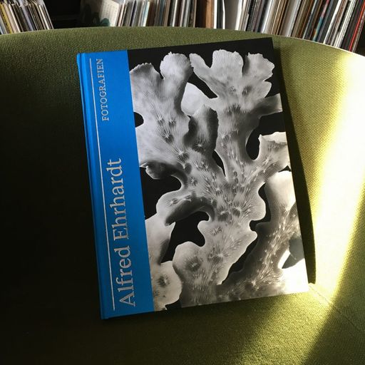 Music for Books with Mehmet Aslan - Dance of Shells // 26-11-19