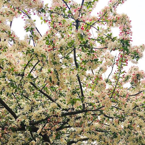 But I took my chances (Eclectic Playlist Series 10.3)