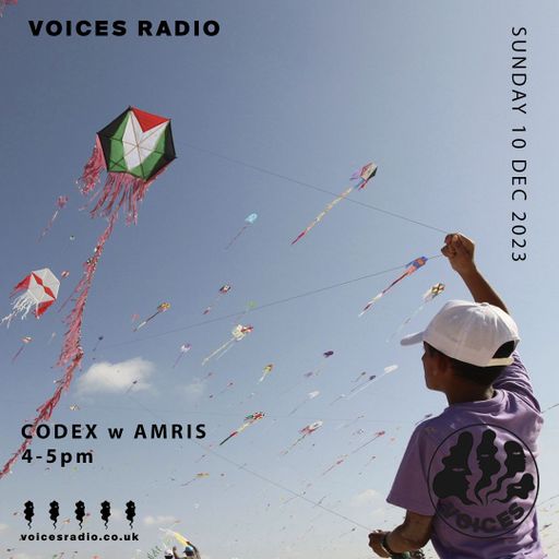 Codex w/ Amris - 10/12/23 - Voices Radio