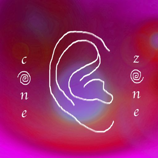 CONE ZONE NO. 14 W/ CAT