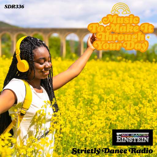 SDR336: Music To Make It Through Your Day