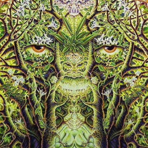Midsommar (Trance)