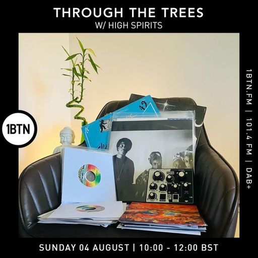Ty : Through The Trees w/ High Spirits - 04.08.24