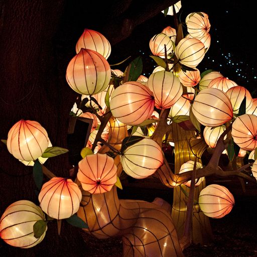 Lantern Festival Interlude - Musics of the World 05/02/2023 WXUT (Mix)