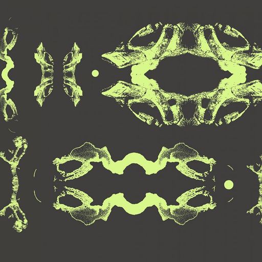 Field Work - 28th February 2026