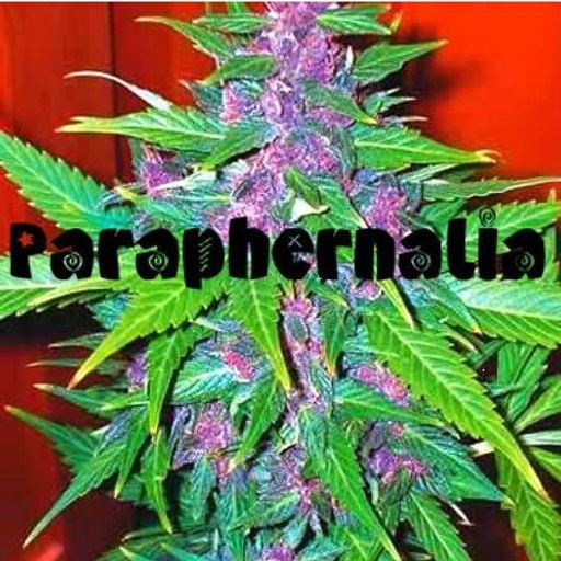 Paraphernalia