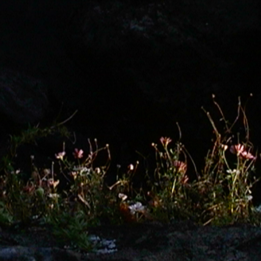 Pianpianino w/ DJ Fine - 17th February 2026