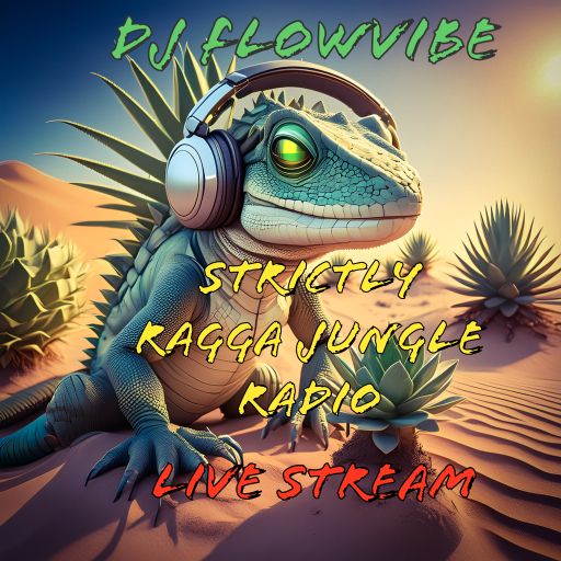 DJ FlowVibe - SRJ Radio Live - May25/2024