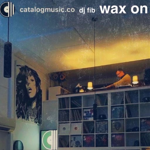 Wax On ~ Catalog Records Set ~ DJ Fib