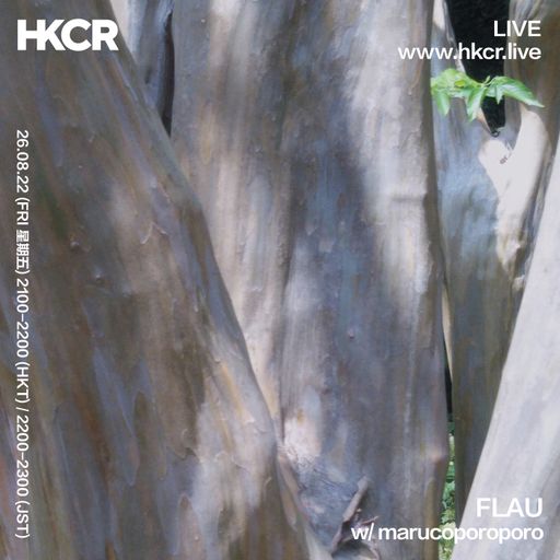 FLAU w/ marucoporoporo - 26/08/2022