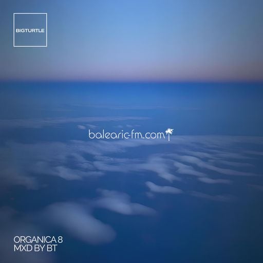 Organic Mix (008) (BigT)