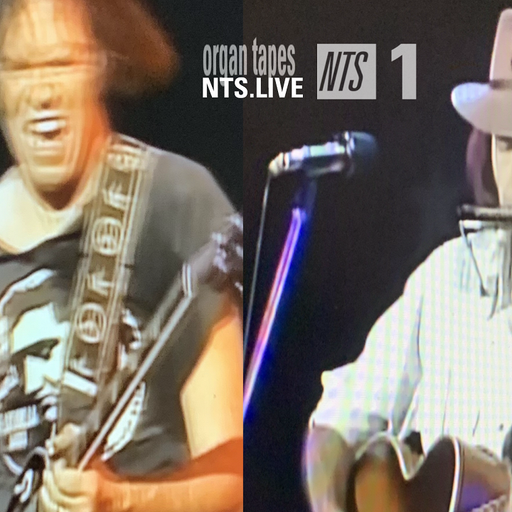ORGAN TAPES: NEIL YOUNG SPECIAL - 28th July 2025