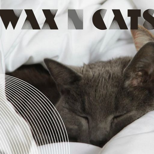 Wax n' Cats #92 w/  DJ Lgcc & FUNERALS