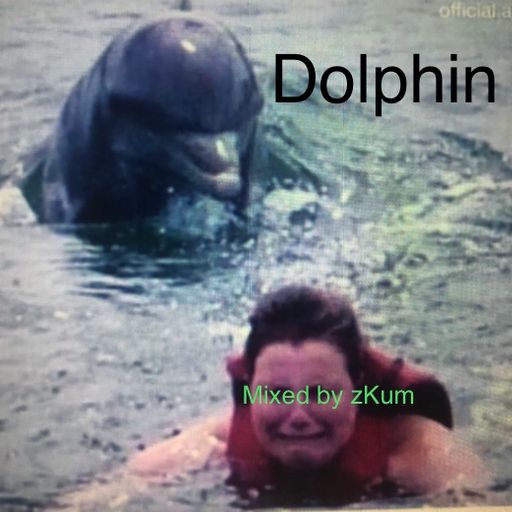 Dolphin #4