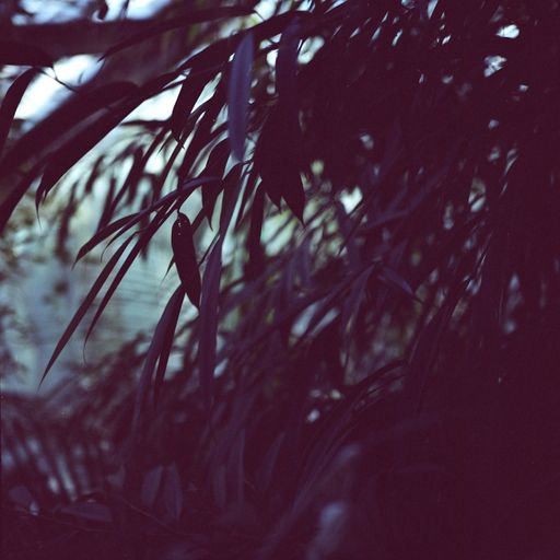 TRANSIENCE #01 with Lou Drago and Ichinen