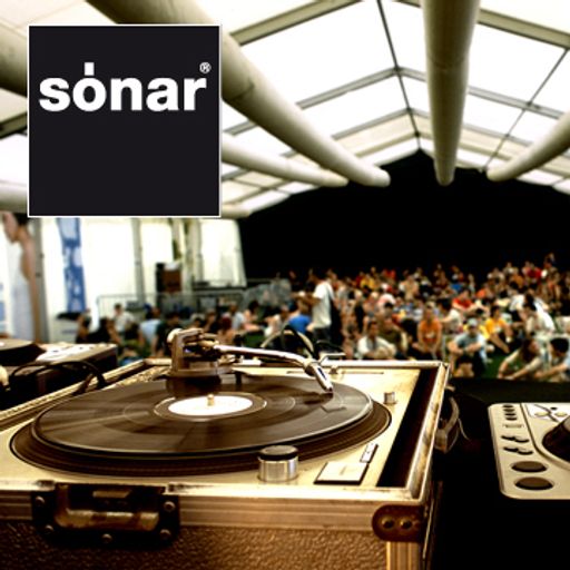 Sonar by day