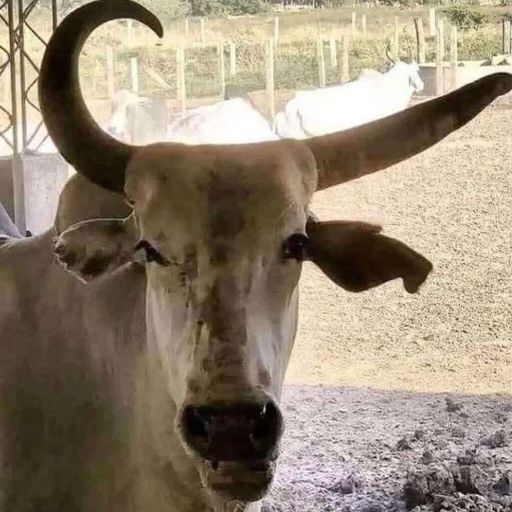 ขอบคุณที่ทำให้เครียดในวันที่ยิ้มได้ By.BM #EDM-By Praewmeow