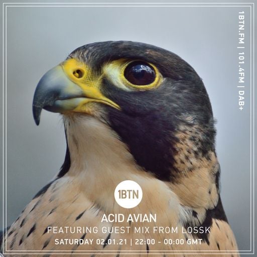 Acid Avian - 02.01.2021