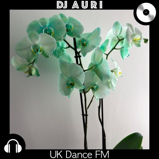 UK Dance FM Stream 41