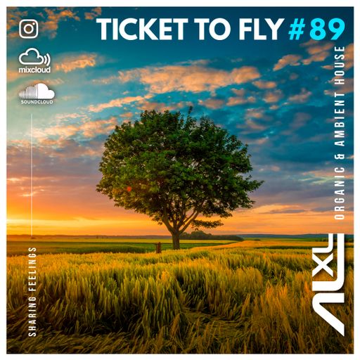 TICKET TO FLY #89 FEB 2024 (Organic House)