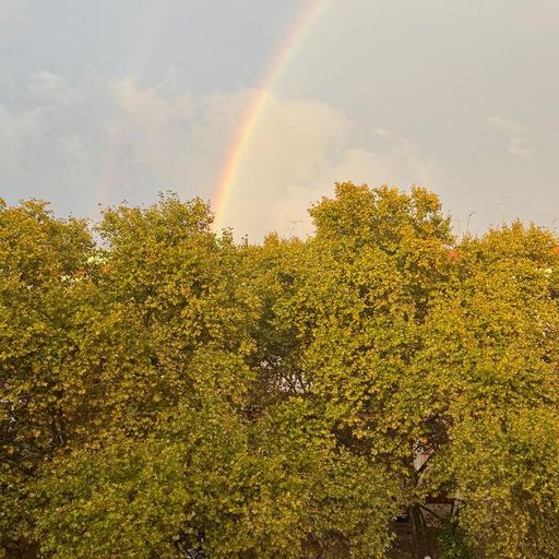 Jen Cardini - love language - 11th November 2025