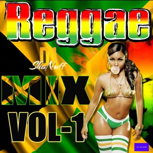 REGGAE/DANCEHALL MIX (DJ SHONUFF)