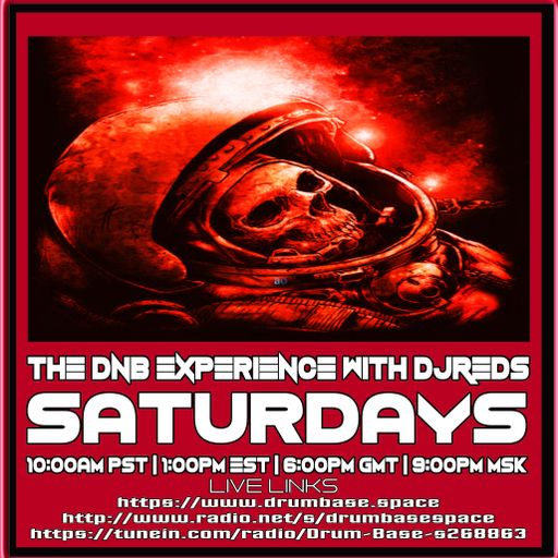 THE DNB EXPERIENCE 13042019