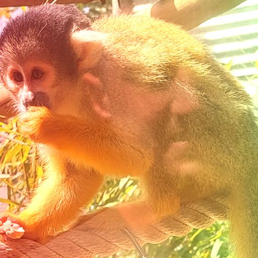 Saturday sunshine sessions (28/5/22)