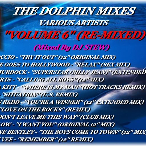 THE DOLPHIN MIXES - VARIOUS ARTISTS - ''VOLUME 6'' (RE-MIXED)