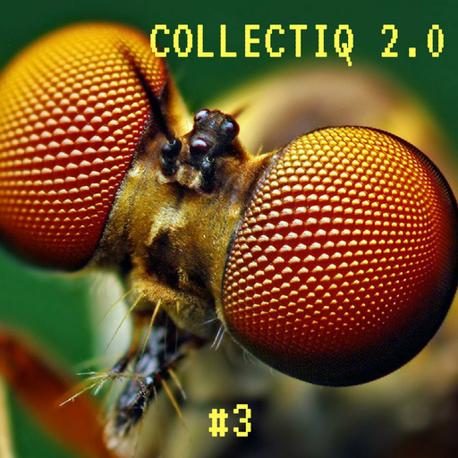 Collectiq 2.0 #3: Bismallah
