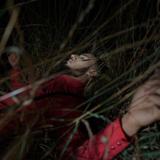 Fireside Chat – Visionist