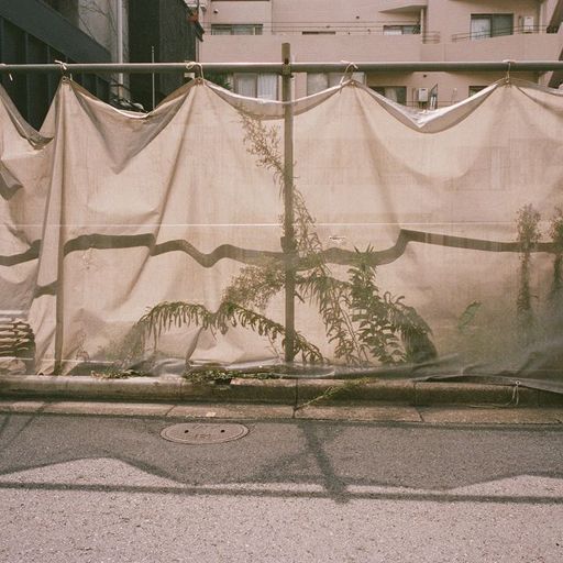 The Early Bird Show w/ PAM & Tom de Peyret - 27th November 2025