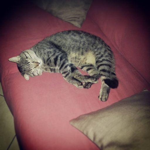 club melodies episode 07