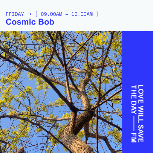 2025-05-02 Cosmic Bob - Cosmic Bob