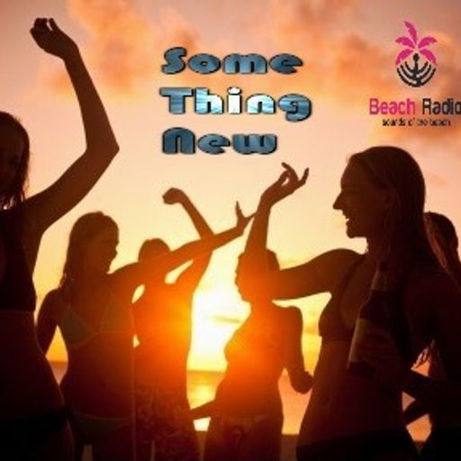 Something New Vol 17 - Jackin' Nu-Disco