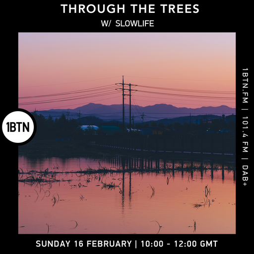 Through The Trees w/ Slowlife
