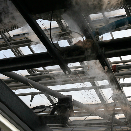 The Early Bird Show w/ PAM - 26th June 2025