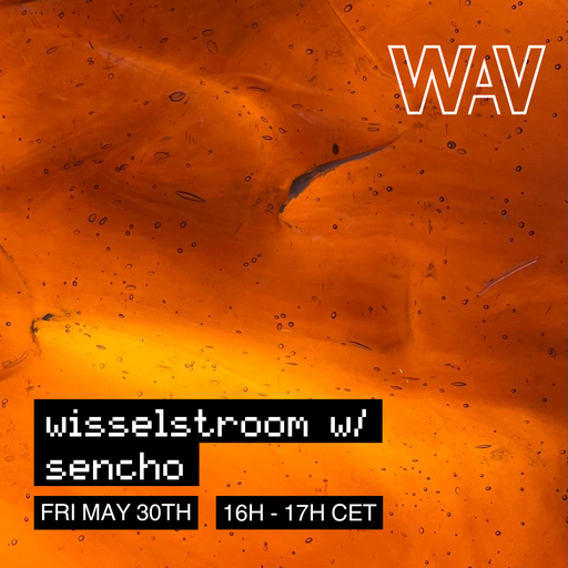wisselstroom w/ sencho at WAV | 30-05-25