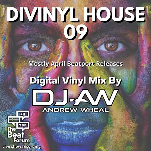 Divinyl House 09 Mixed By DJ-AW