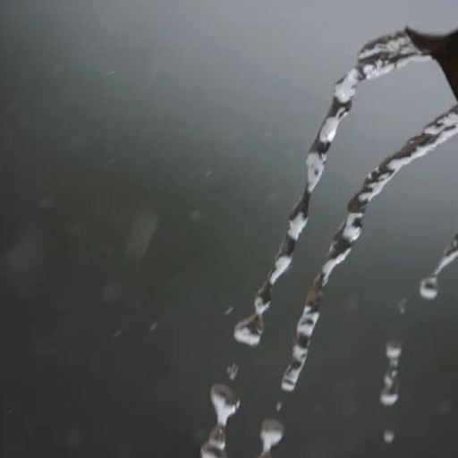 Music for Evenings 14 / Rainy June