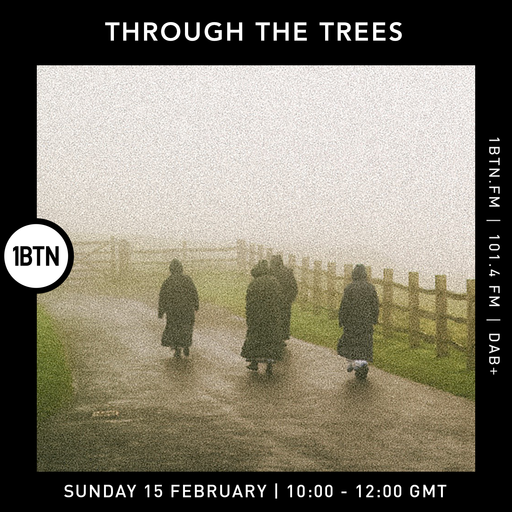 Through The Tree's w/ Ty - 15.02.26