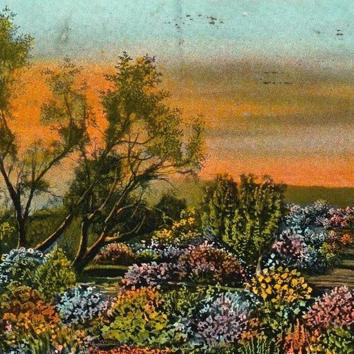 West Coast Fog: Springtime Feelings - 29th April 2026