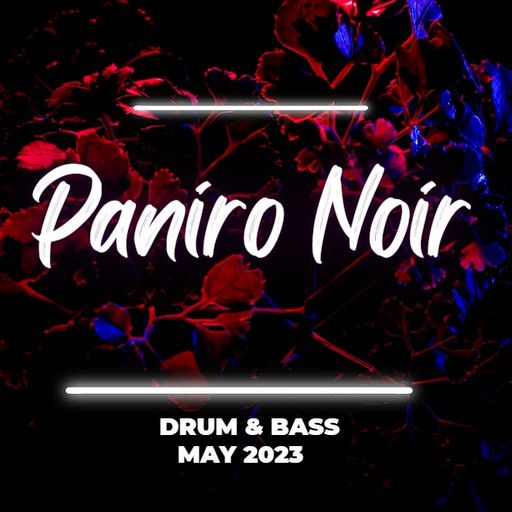 Paniro Noir - May 2023 Drum and Bass Mix