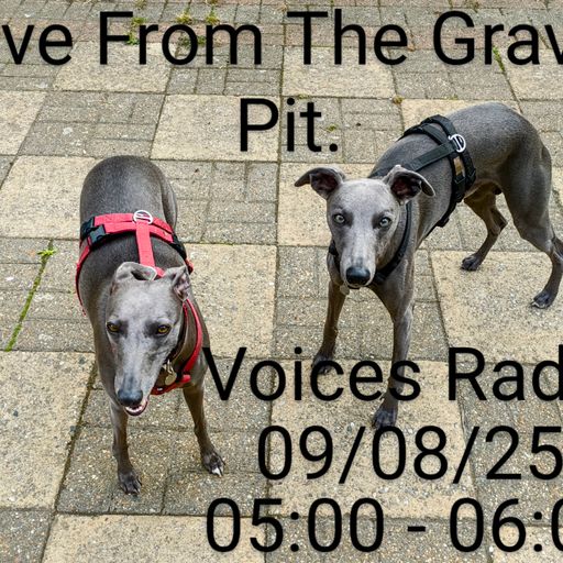 Live From Gravel Pit  - 09/08/25 - [Voices Radio]