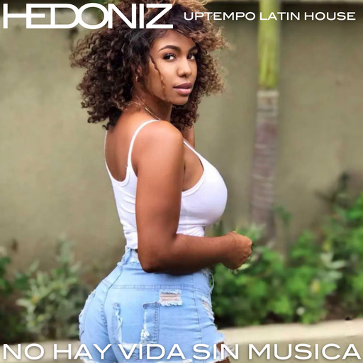 No Hay Vida Sin Música